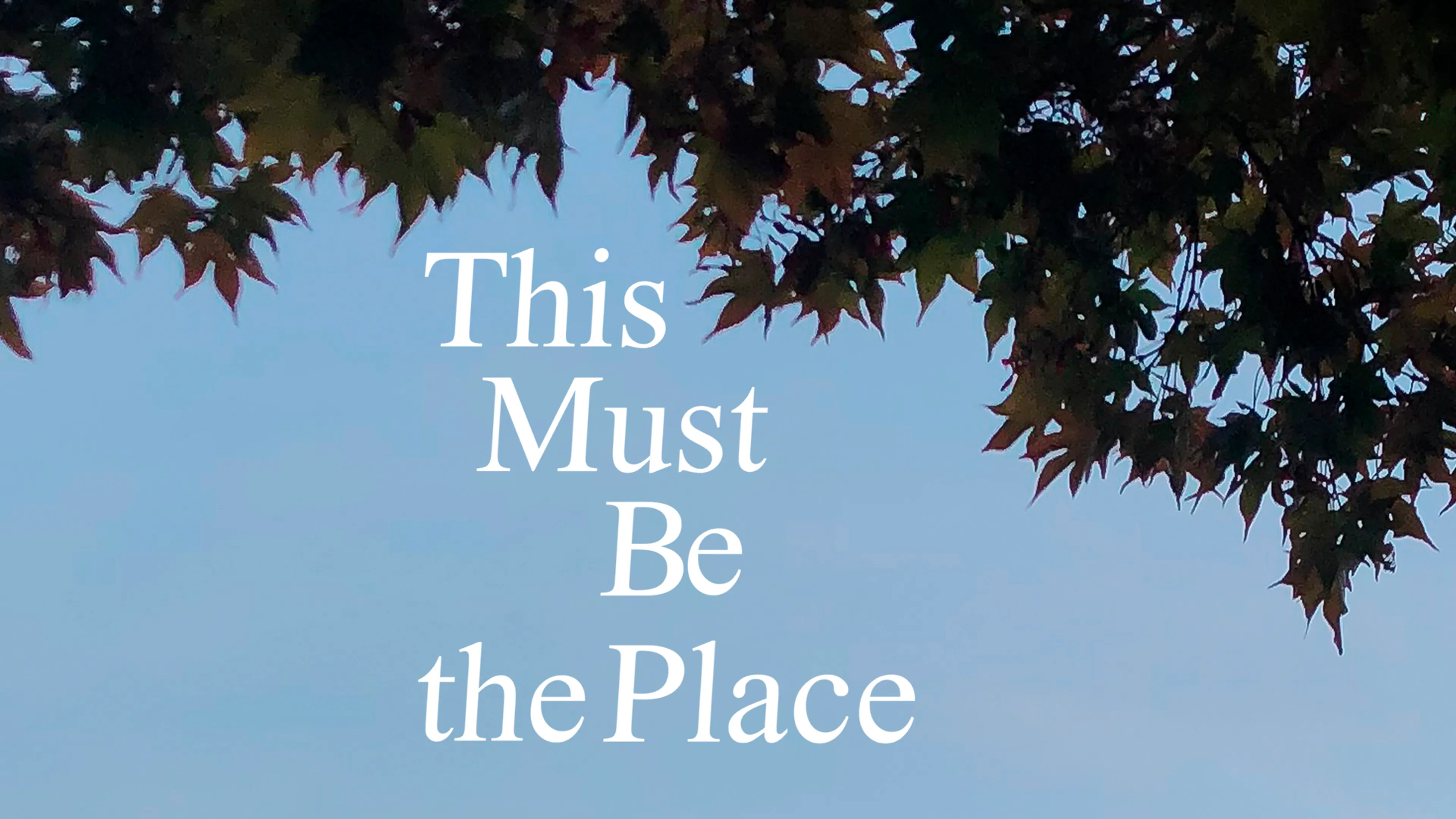 This Must Be The Place poster